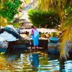 Pix and Grids 3 – India