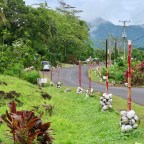 Apia, Samoa, Dec. 10