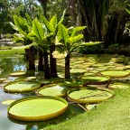 Brazil: Rio De Janeiro (Mar.2), Gate 1 Review, and Thanks