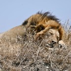 East Africa Trip Wrap-Up, Lessons Learned, and Thanks