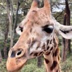 Nairobi, Kenya (Aug. 3-4)